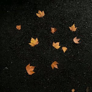 在深秋DJ（片段版）