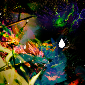 El Vuelo Del Queltehue