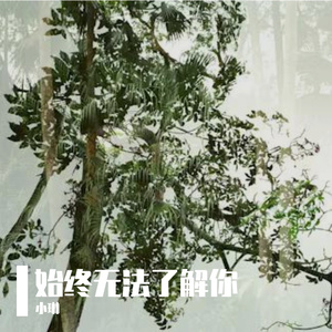 山巅空灵风铃声