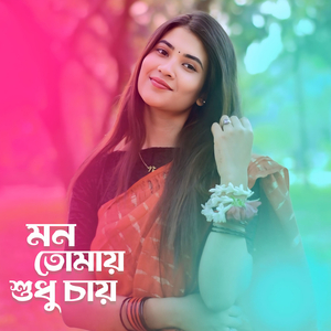 মন তোমায় শুধু চায়