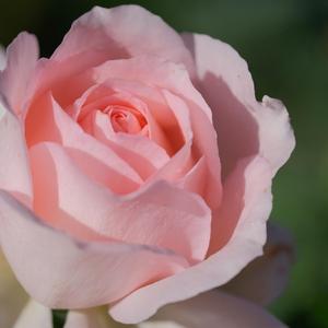 光影之歌（钢琴）