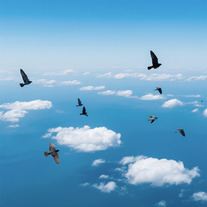 The Good Old Days (Backseat Summer)