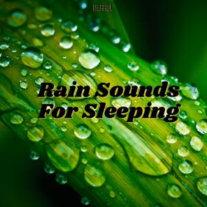 Rain To Fall Asleep