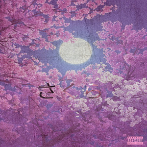 SAKURA さくら