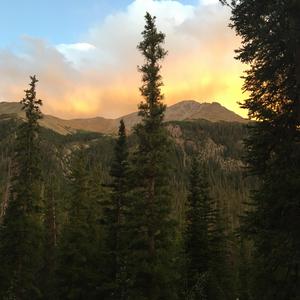 Organ boy1 (Demo) (Demo)