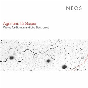 Violazioni della presenza:No. 1, —