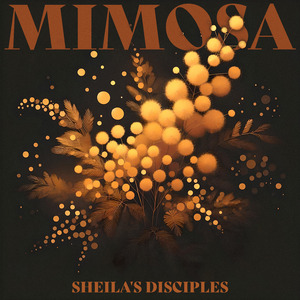 Mimosa