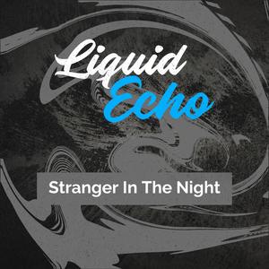 Stranger In The Night