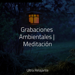 Vida Saludable