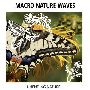 November Nights at Ocean Waves