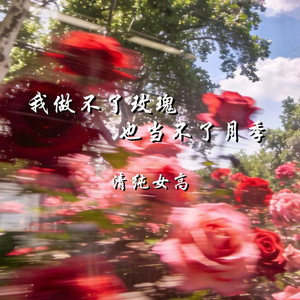 我做不了玫瑰也当不了月季