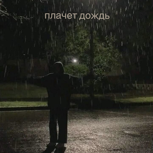 Плачет дождь