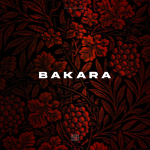 Bakara