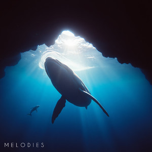 Melodies (Extended Mix)