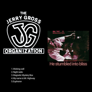 Magnetic mystery box