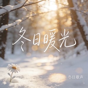 雨冰心-冬日暖光.mp3（雨冰心 remix）