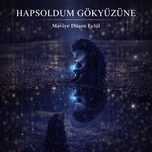 Hapsoldum Gökyüzüne
