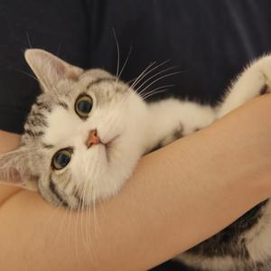 내 목소리 들리니（翻自 BEN）