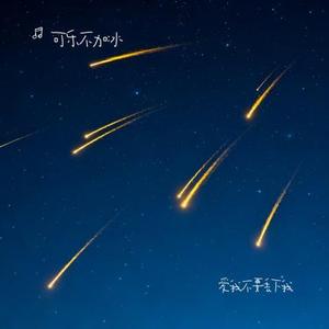 爱我不要丢下我 (Cover 王思思)