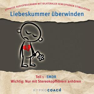 Liebeskummer überwinden Teil 1 Emdr (So lösen Sie Liebeskummer auf.)