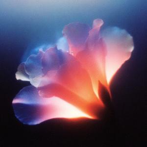 Only You, As You Are