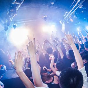 野狼的士高 (DJ舞曲)