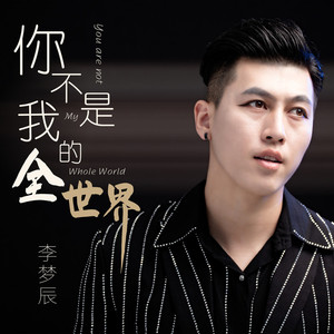你不是我的全世界 (伴奏)