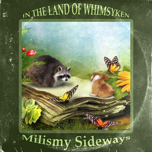 In The Land of Whimsyken