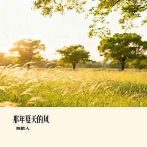 那年夏天的风