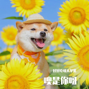 噢是你呀  演唱版