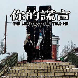 你的谎言