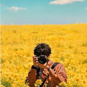 Quiet Harlem Cassette