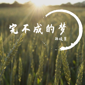 完不成的梦