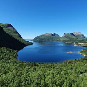 Senja (Original Version)