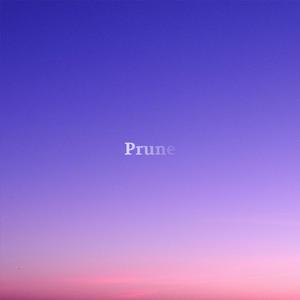 Prune