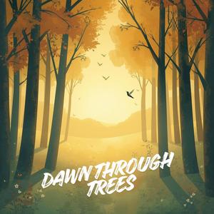 Dawn Through Trees