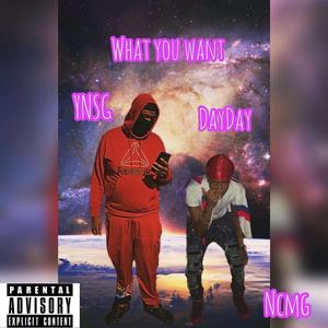 What You Want (feat. YNSG)