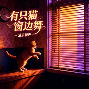 有只猫 窗边舞