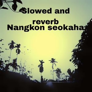Nangkon seokaha (Slowed and reverb)