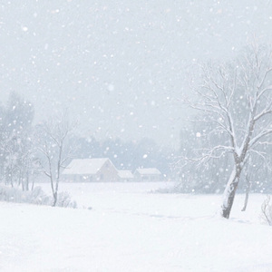 刻在我心底的名字