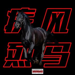 疾风烈马