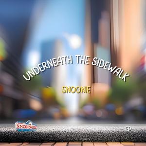 A Song Made Of Hooks (Maureen Marie Bates)