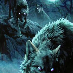 肉食动物（prod by Rainbow-T ）