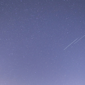 처연 凄然 (Vocal 조아른)