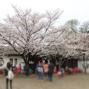 超越时空的思念(Erhu Ver.)