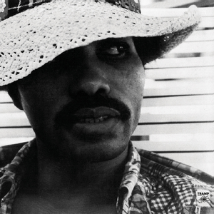 You Shake Them Things