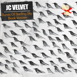 Bursts Of Starling Sky Book Version
