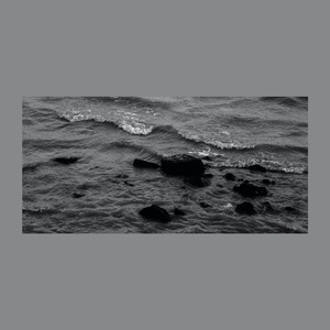 如果落叶能长青2.0