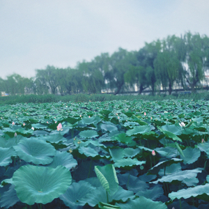 转身拥吻她的肩