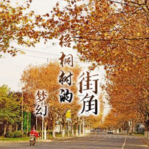 梧桐树的街角（翻自 南雨笙）